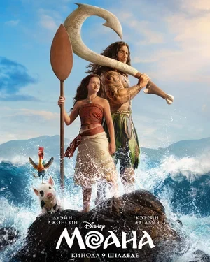 Сведения об участниках