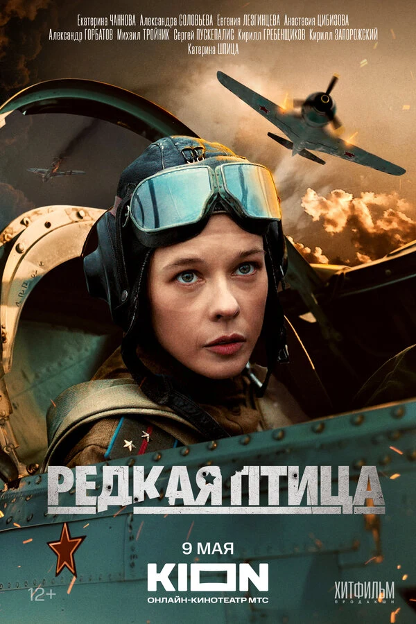 Анастасия Цибизова